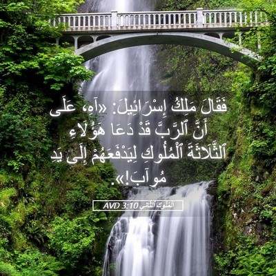 Picture 05 - اَلْمُلُوكِ ٱلثَّانِي 3:10 AVD - فَقَالَ مَلِكُ - Bible Verse Picture