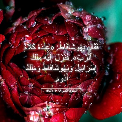 Picture 05 - اَلْمُلُوكِ ٱلثَّانِي 3:12 AVD - فَقَالَ يَهُوشَافَاطُ: - Bible Verse Picture