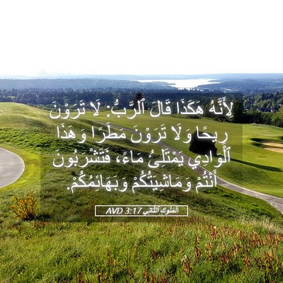 Picture 05 - اَلْمُلُوكِ ٱلثَّانِي 3:17 AVD - لِأَنَّهُ هَكَذَا قَالَ - Bible Verse Picture
