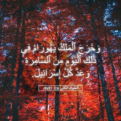 Picture 05 - اَلْمُلُوكِ ٱلثَّانِي 3:6 AVD - وَخَرَجَ ٱلْمَلِكُ - Bible Verse Picture