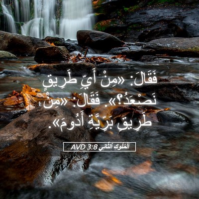 Picture 05 - اَلْمُلُوكِ ٱلثَّانِي 3:8 AVD - فَقَالَ: «مِنْ أَيِّ - Bible Verse Picture
