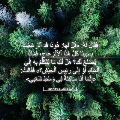 Picture 05 - اَلْمُلُوكِ ٱلثَّانِي 4:13 AVD - فَقَالَ لَهُ: «قُلْ لَهَا: - Bible Verse Picture