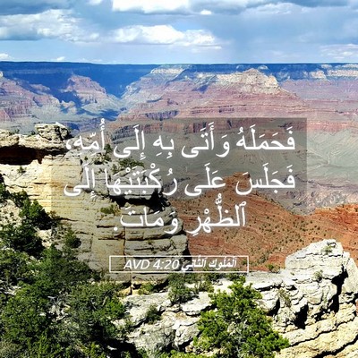 Picture 05 - اَلْمُلُوكِ ٱلثَّانِي 4:20 AVD - فَحَمَلَهُ وَأَتَى بِهِ - Bible Verse Picture