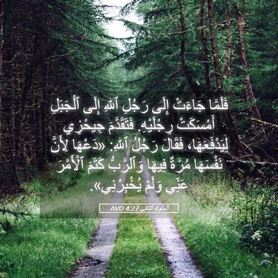 Picture 05 - اَلْمُلُوكِ ٱلثَّانِي 4:27 AVD - فَلَمَّا جَاءَتْ إِلَى - Bible Verse Picture