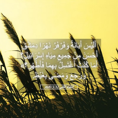 Picture 05 - اَلْمُلُوكِ ٱلثَّانِي 5:12 AVD - أَلَيْسَ أَبَانَةُ - Bible Verse Picture