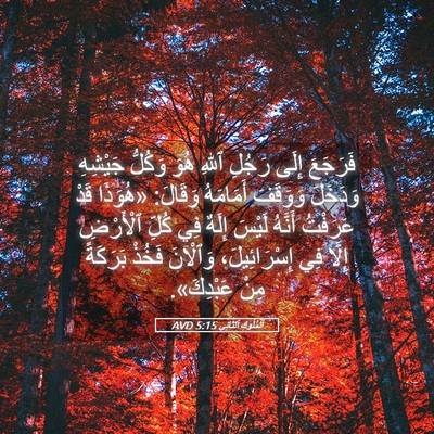 Picture 05 - اَلْمُلُوكِ ٱلثَّانِي 5:15 AVD - فَرَجَعَ إِلَى رَجُلِ - Bible Verse Picture