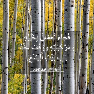 Picture 05 - اَلْمُلُوكِ ٱلثَّانِي 5:9 AVD - فَجَاءَ نُعْمَانُ - Bible Verse Picture