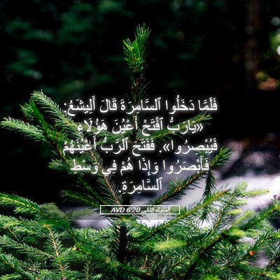 Picture 05 - اَلْمُلُوكِ ٱلثَّانِي 6:20 AVD - فَلَمَّا دَخَلُوا - Bible Verse Picture