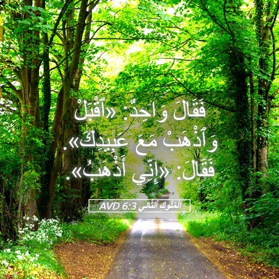 Picture 05 - اَلْمُلُوكِ ٱلثَّانِي 6:3 AVD - فَقَالَ وَاحِدٌ: «ٱقْبَلْ - Bible Verse Picture