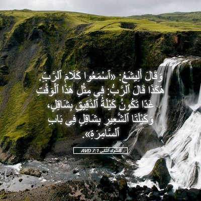 Picture 05 - اَلْمُلُوكِ ٱلثَّانِي 7:1 AVD - وَقَالَ أَلِيشَعُ: - Bible Verse Picture