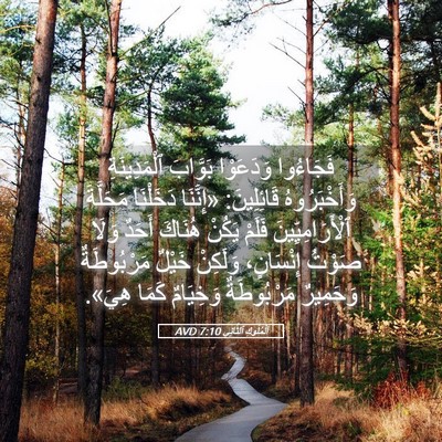 Picture 05 - اَلْمُلُوكِ ٱلثَّانِي 7:10 AVD - فَجَاءُوا وَدَعَوْا - Bible Verse Picture