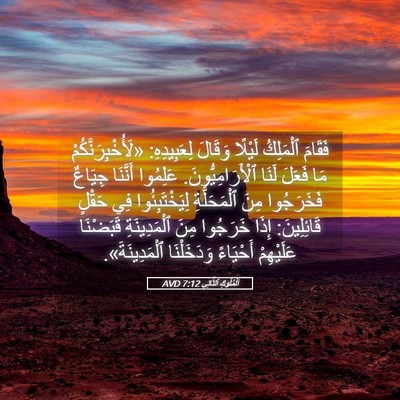 Picture 05 - اَلْمُلُوكِ ٱلثَّانِي 7:12 AVD - فَقَامَ ٱلْمَلِكُ لَيْلًا - Bible Verse Picture