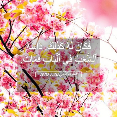 Picture 05 - اَلْمُلُوكِ ٱلثَّانِي 7:20 AVD - فَكَانَ لَهُ كَذَلِكَ. - Bible Verse Picture