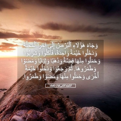 Picture 05 - اَلْمُلُوكِ ٱلثَّانِي 7:8 AVD - وَجَاءَ هَؤُلَاءِ - Bible Verse Picture