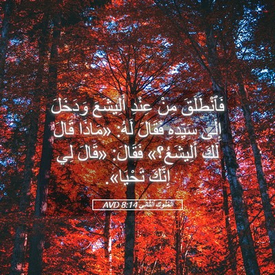 Picture 05 - اَلْمُلُوكِ ٱلثَّانِي 8:14 AVD - فَٱنْطَلَقَ مِنْ عِنْدِ - Bible Verse Picture