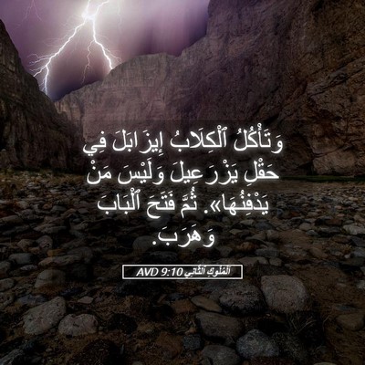 Picture 05 - اَلْمُلُوكِ ٱلثَّانِي 9:10 AVD - وَتَأْكُلُ ٱلْكِلَابُ - Bible Verse Picture