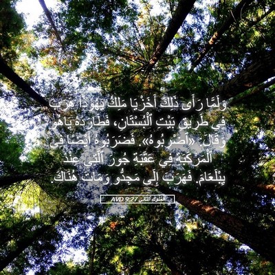 Picture 05 - اَلْمُلُوكِ ٱلثَّانِي 9:27 AVD - وَلَمَّا رَأَى ذَلِكَ - Bible Verse Picture