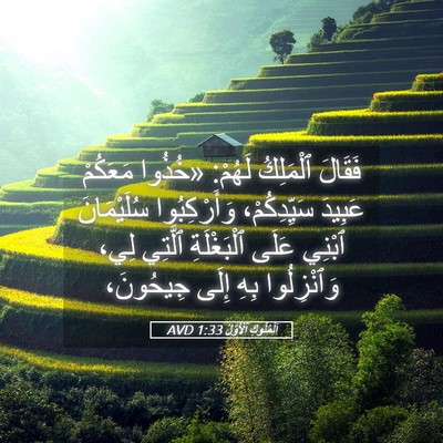 Picture 05 - اَلْمُلُوكِ ٱلْأَوَّلُ 1:33 AVD - فَقَالَ ٱلْمَلِكُ لَهُمْ: - Bible Verse Picture