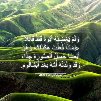 Picture 05 - اَلْمُلُوكِ ٱلْأَوَّلُ 1:6 AVD - وَلَمْ يُغْضِبْهُ أَبُوهُ - Bible Verse Picture