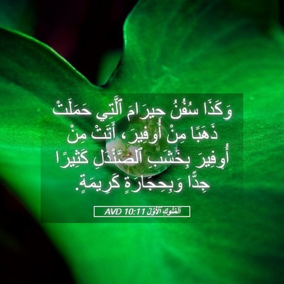 Picture 05 - اَلْمُلُوكِ ٱلْأَوَّلُ 10:11 AVD - وَكَذَا سُفُنُ حِيرَامَ - Bible Verse Picture
