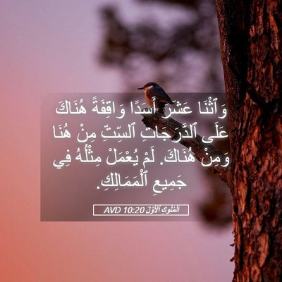 Picture 05 - اَلْمُلُوكِ ٱلْأَوَّلُ 10:20 AVD - وَٱثْنَا عَشَرَ أَسَدًا - Bible Verse Picture