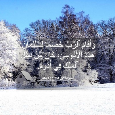 Picture 05 - اَلْمُلُوكِ ٱلْأَوَّلُ 11:14 AVD - وَأَقَامَ ٱلرَّبُّ - Bible Verse Picture