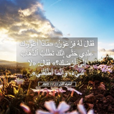 Picture 05 - اَلْمُلُوكِ ٱلْأَوَّلُ 11:22 AVD - فَقَالَ لَهُ فِرْعَوْنُ: - Bible Verse Picture