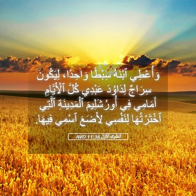 Picture 05 - اَلْمُلُوكِ ٱلْأَوَّلُ 11:36 AVD - وَأُعْطِي ٱبْنَهُ سِبْطًا - Bible Verse Picture