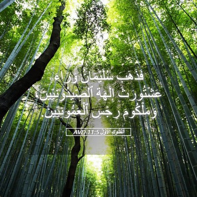 Picture 05 - اَلْمُلُوكِ ٱلْأَوَّلُ 11:5 AVD - فَذَهَبَ سُلَيْمَانُ - Bible Verse Picture