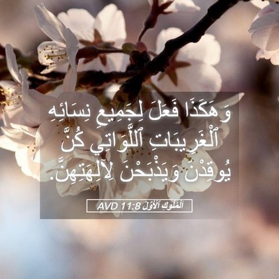 Picture 05 - اَلْمُلُوكِ ٱلْأَوَّلُ 11:8 AVD - وَهَكَذَا فَعَلَ - Bible Verse Picture