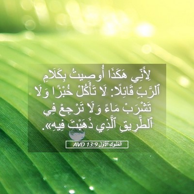 Picture 05 - اَلْمُلُوكِ ٱلْأَوَّلُ 13:9 AVD - لِأَنِّي هَكَذَا أُوصِيتُ - Bible Verse Picture