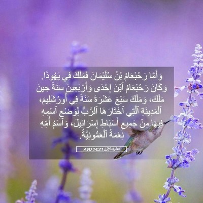 Picture 05 - اَلْمُلُوكِ ٱلْأَوَّلُ 14:21 AVD - وَأَمَّا رَحُبْعَامُ بْنُ - Bible Verse Picture