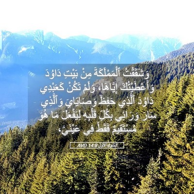 Picture 05 - اَلْمُلُوكِ ٱلْأَوَّلُ 14:8 AVD - وَشَقَقْتُ ٱلْمَمْلَكَةَ - Bible Verse Picture