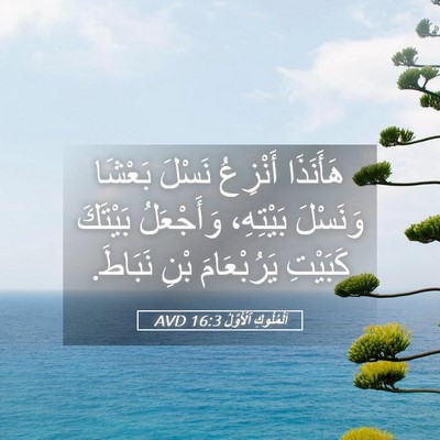 Picture 05 - اَلْمُلُوكِ ٱلْأَوَّلُ 16:3 AVD - هَأَنَذَا أَنْزِعُ نَسْلَ - Bible Verse Picture