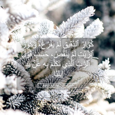 Picture 05 - اَلْمُلُوكِ ٱلْأَوَّلُ 17:16 AVD - كُوَّارُ ٱلدَّقِيقِ لَمْ - Bible Verse Picture