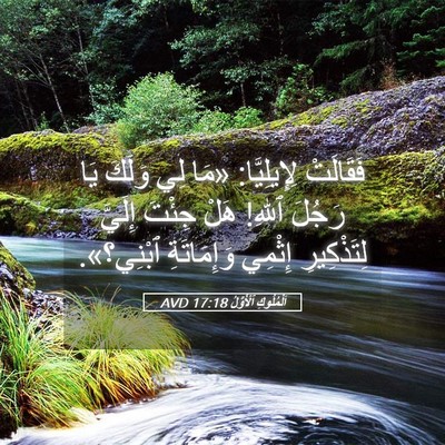 Picture 05 - اَلْمُلُوكِ ٱلْأَوَّلُ 17:18 AVD - فَقَالَتْ لِإِيلِيَّا: - Bible Verse Picture