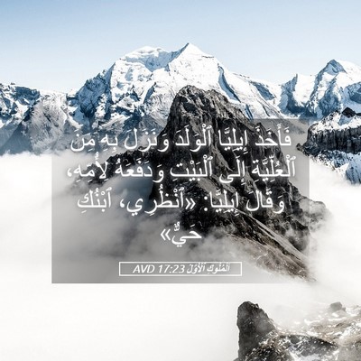 Picture 05 - اَلْمُلُوكِ ٱلْأَوَّلُ 17:23 AVD - فَأَخَذَ إِيلِيَّا - Bible Verse Picture