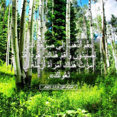 Picture 05 - اَلْمُلُوكِ ٱلْأَوَّلُ 17:9 AVD - «قُمِ ٱذْهَبْ إِلَى - Bible Verse Picture