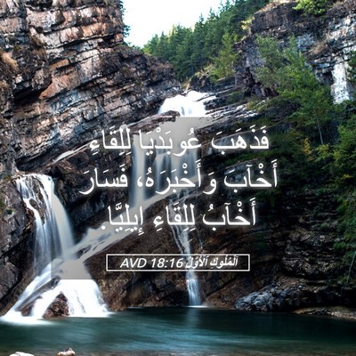 Picture 05 - اَلْمُلُوكِ ٱلْأَوَّلُ 18:16 AVD - فَذَهَبَ عُوبَدْيَا - Bible Verse Picture
