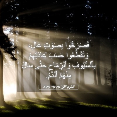 Picture 05 - اَلْمُلُوكِ ٱلْأَوَّلُ 18:28 AVD - فَصَرَخُوا بِصَوْتٍ - Bible Verse Picture