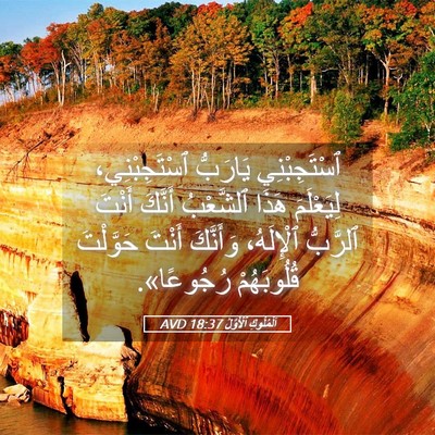 Picture 05 - اَلْمُلُوكِ ٱلْأَوَّلُ 18:37 AVD - ٱسْتَجِبْنِي يَارَبُّ - Bible Verse Picture