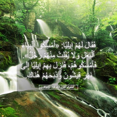Picture 05 - اَلْمُلُوكِ ٱلْأَوَّلُ 18:40 AVD - فَقَالَ لَهُمْ إِيلِيَّا: - Bible Verse Picture