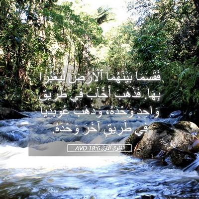 Picture 05 - اَلْمُلُوكِ ٱلْأَوَّلُ 18:6 AVD - فَقَسَمَا بَيْنَهُمَا - Bible Verse Picture