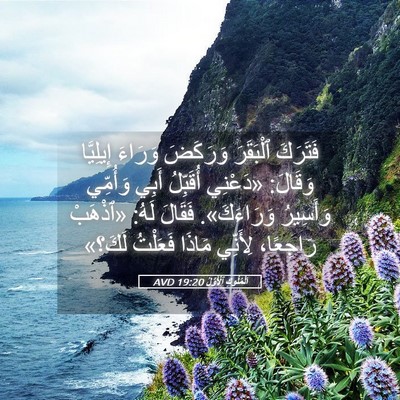 Picture 05 - اَلْمُلُوكِ ٱلْأَوَّلُ 19:20 AVD - فَتَرَكَ ٱلْبَقَرَ - Bible Verse Picture