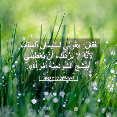 Picture 05 - اَلْمُلُوكِ ٱلْأَوَّلُ 2:17 AVD - فَقَالَ: «قُولِي - Bible Verse Picture