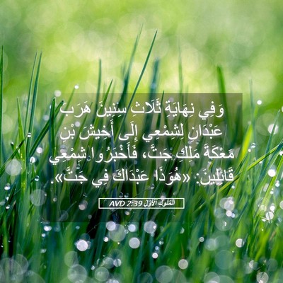 Picture 05 - اَلْمُلُوكِ ٱلْأَوَّلُ 2:39 AVD - وَفِي نِهَايَةِ ثَلَاثِ - Bible Verse Picture