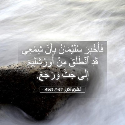Picture 05 - اَلْمُلُوكِ ٱلْأَوَّلُ 2:41 AVD - فَأُخْبِرَ سُلَيْمَانُ - Bible Verse Picture