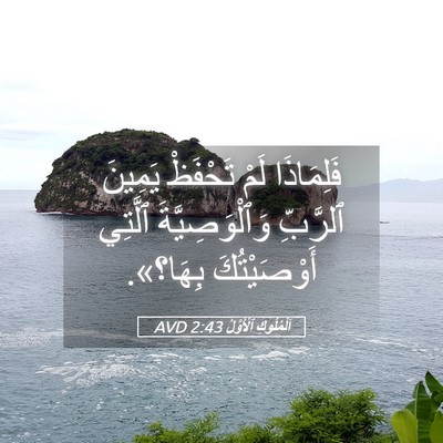 Picture 05 - اَلْمُلُوكِ ٱلْأَوَّلُ 2:43 AVD - فَلِمَاذَا لَمْ تَحْفَظْ - Bible Verse Picture