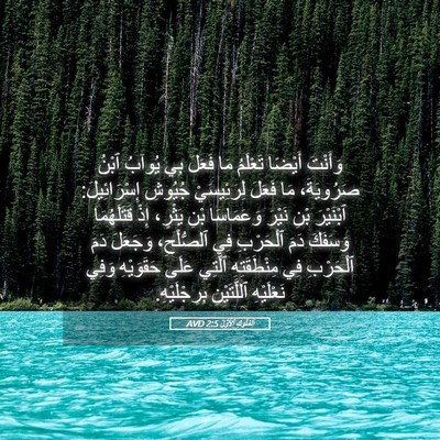 Picture 05 - اَلْمُلُوكِ ٱلْأَوَّلُ 2:5 AVD - وَأَنْتَ أَيْضًا تَعْلَمُ - Bible Verse Picture