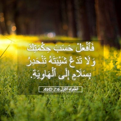 Picture 05 - اَلْمُلُوكِ ٱلْأَوَّلُ 2:6 AVD - فَٱفْعَلْ حَسَبَ - Bible Verse Picture